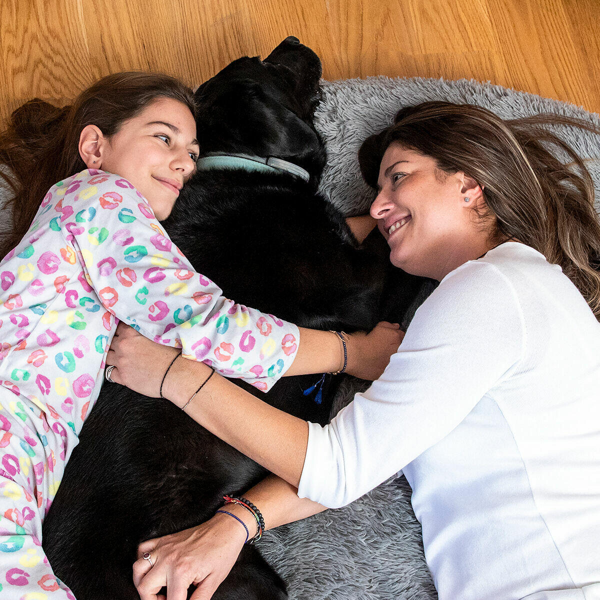Cama de Perro para Humanos | Human Dog Bed XXL